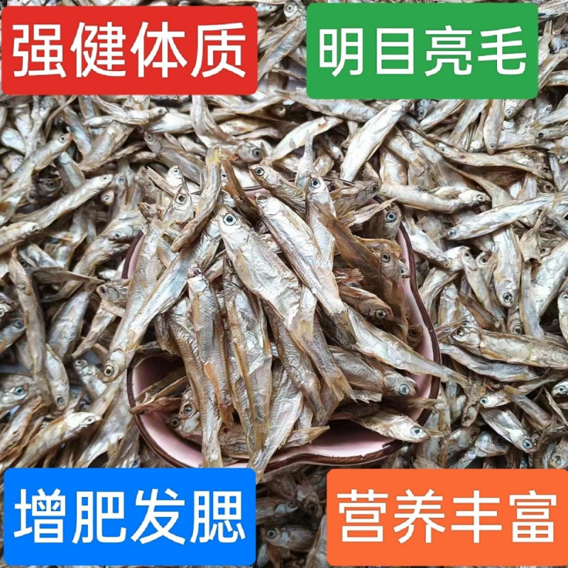 猫のおやつ、小魚、淡水無塩干物、猫のおやつ、卸売、肥育、頬の成長、カルシウム補給、ペットのおやつ、キャットフード|undefined