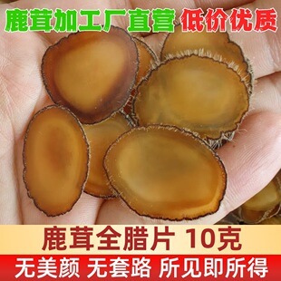 �F؛�F؛�F؛�|���خa¹��ȫ�DƬ¹�׼���÷��¹��ȫϞƬ�����ٰl