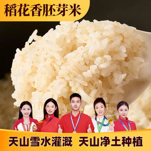 �½��������̖��ѿ�׾Gɫ�Nֲ�½�������ɽѩˮ��� ���l ���ӹ�