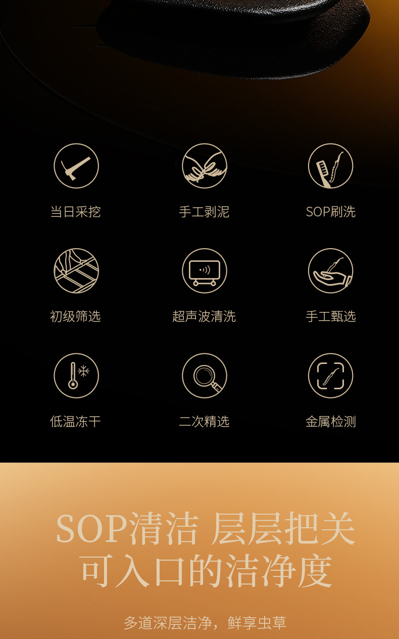 Premium Cordyceps Sinensis Gift Box 20g Wild-Harvested Qinghai Dong Chong Xia Cao specifications