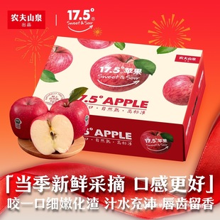 2025�¹��rɽȪ17.5&deg; �O�����C�o���Y�мt��ʿ���rˮ��������