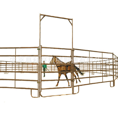 Exportaciones de comercio exterior Rancho de animales Campo ecuestre Barandilla de refuerzo Granja de pastizales Barandilla de cría de animales cautivos