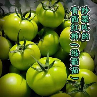 �����䡿����෬�������t�����r�Fժ�����r���߲˾Gɫ���ԷN���l