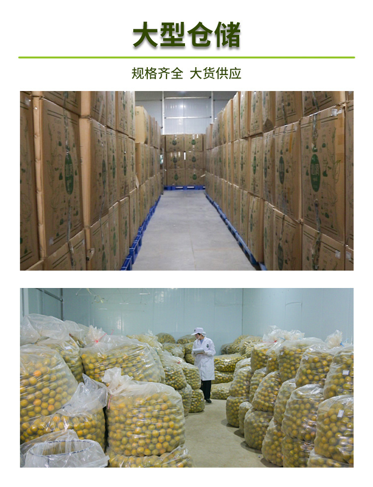 1688 Li Fruit Fresh details page 13.jpg