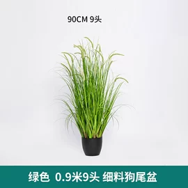 儿童读物;社科生活;四件套