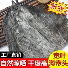 ���挒�~�����^���غ�ɺ����^ϼ�ָ�؛�������l�r�Օ񺣎�������