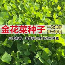 �𻨲˷N���Ϻ����^�N�Ѵ��~�S�����^�N�������~���＾���˷N��