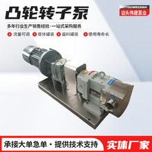 不锈钢食品卫生果酱提升凸轮泵酱料辣椒酱面糊浆料输送定量泵现货