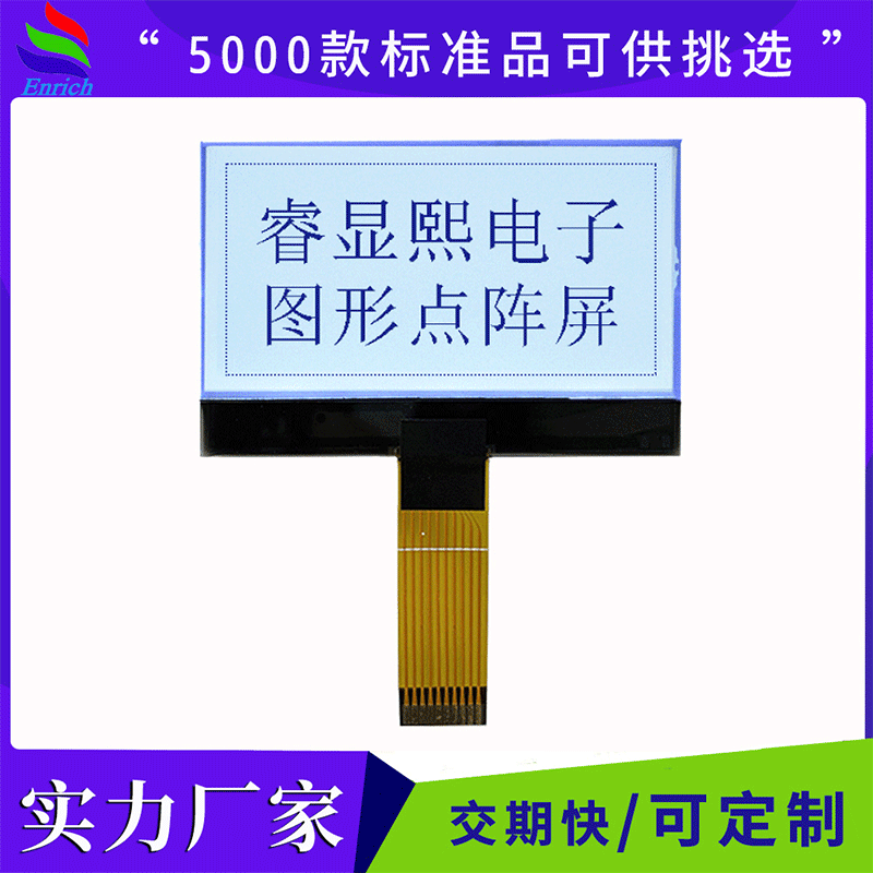 核辐检测仪厂家热销1寸2寸3寸LCD液晶模块COG显示屏可选点阵屏