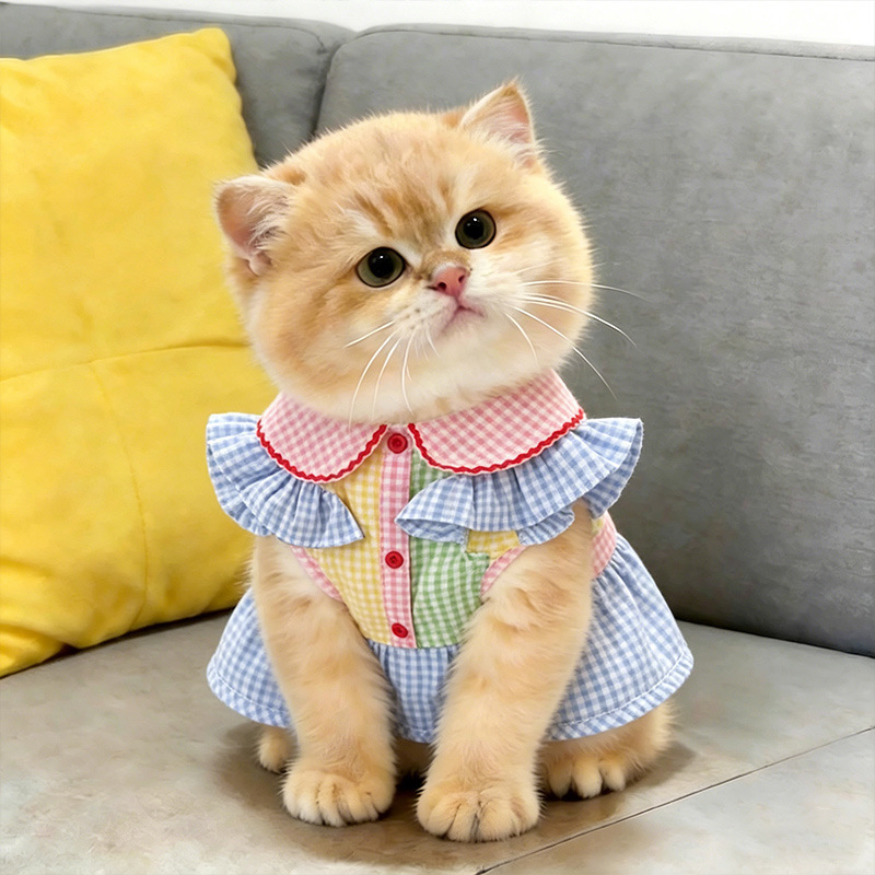 Thin summer cat clothes for kittens, anti-shedding, gold gradient color-blocking shirt, high aesthetic value, breathable two-legged outfit