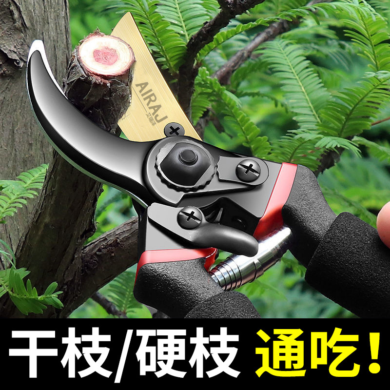 @`园林剪刀 修剪树枝剪果树园艺剪刀花艺剪枝剪刀 修枝剪刀