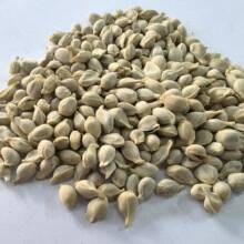 �ٺ� ������ ������ ������ 1000g�˰��] �в�ș��