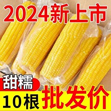 10��25���^���SŴ����������ժ������b���D�����֬���̓r���]