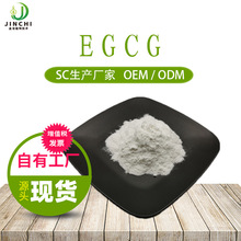 EGCG 98% 表沒食子兒茶素沒食子酸酯 100g/袋 兒茶素 綠茶提取物
