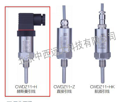 插入型温度变送器型号XY08-CWDZ11-H-01-A1-14-L-G库号M406714