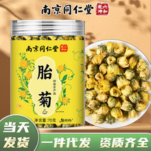 南京同仁堂罐装胎菊70g正宗桐乡胎菊王杭白菊菊花茶厂家一件代发