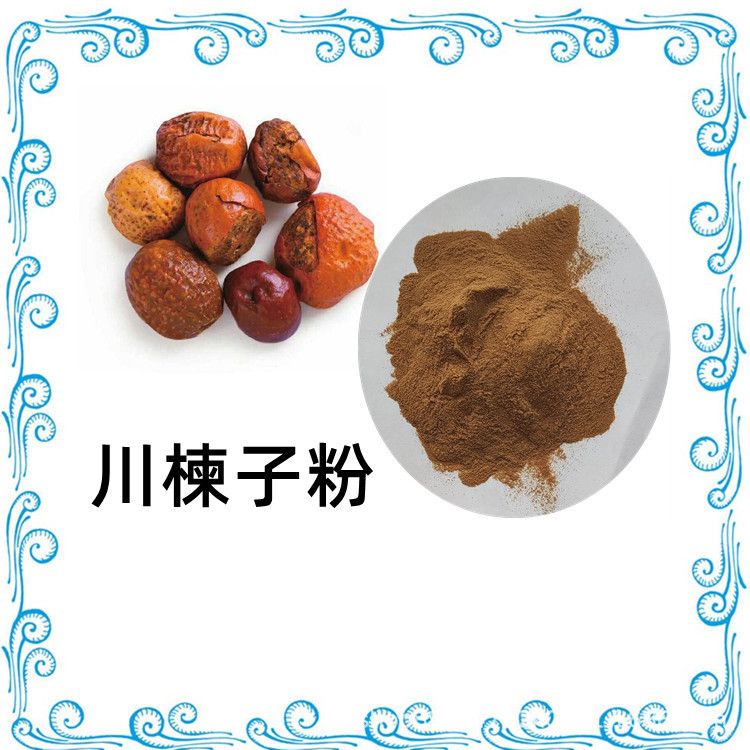 川楝子提取物  川楝子粉 可水溶 10:1现货直供 25kg纸板桶