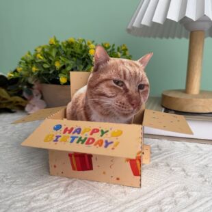 �羳ƽ̨����3D���w�R�� ��D��������R������ʽ���������R��