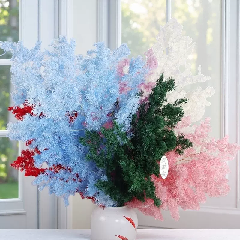 永生花蓬莱松真花制作雪松保鲜花云南干花蓬莱松干花