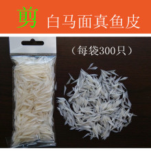 白真鱼皮 镀彩真鱼皮 彩虹皮  镭射皮 自己绑钩的配件鱼皮角其他