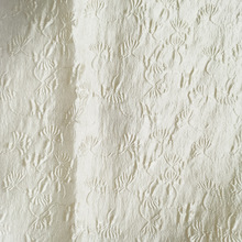 �½z�c�Ứ ���w��ֲ���~��ɫ���Ứ���� �U�Еr�b���� ���S�F��