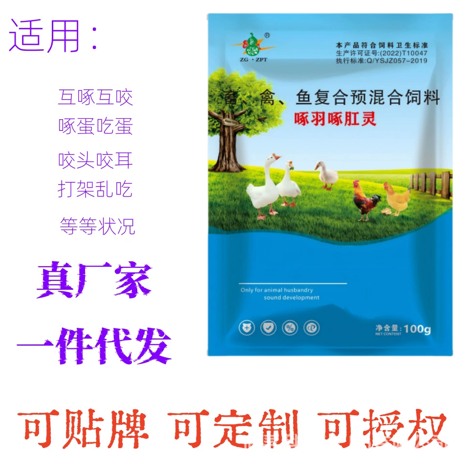 Клюет перья и клюет анальный дух домашнего скота