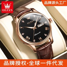 一件代发欧利时品牌手表商务大气镶钻防水夜光机械表男士手表男表