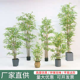 仿真竹子假竹子盆栽室内装饰园林景观仿真植物竹子盆栽假绿植批发