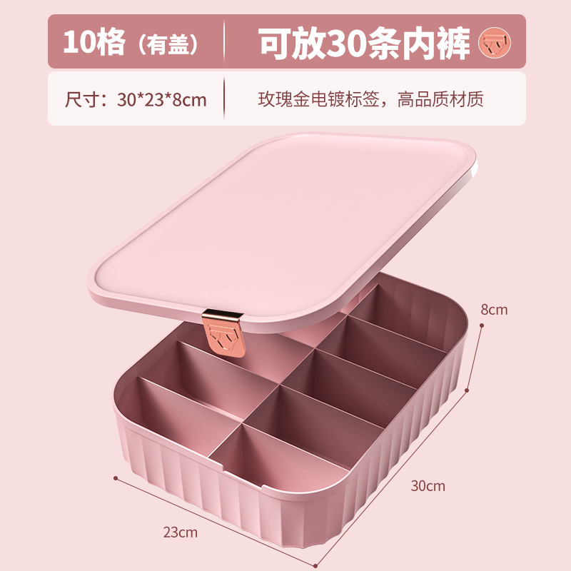 Caja Organizadora de Ropa Interior con Tapa de Plástico Con Compartimentos para el Hogar image 12