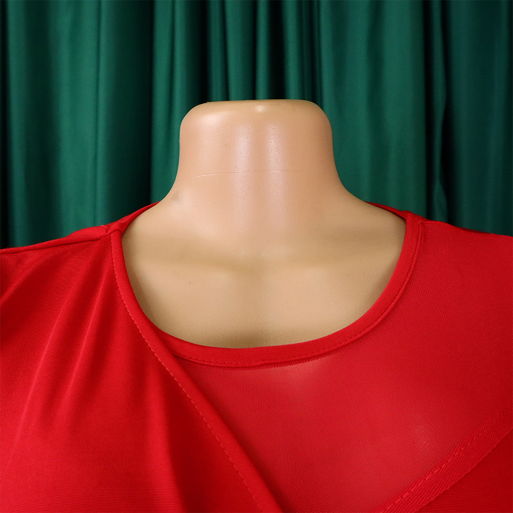 Damen Abendkleid Mit Langarm Und Mesh-einsatz Elegantes Festkleid_voghion.com