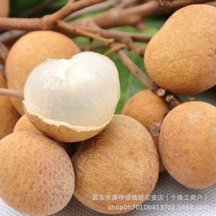 ���۷N�ӹ��A�N������ţ�۠I�B�rֵ�߹��A�N��������������ļ���