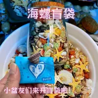 Сетка Red Conch Blind Сумка Награды Подарки Натуральные раковины раковины Детские Дий Детский сад Игрушки Подарки
