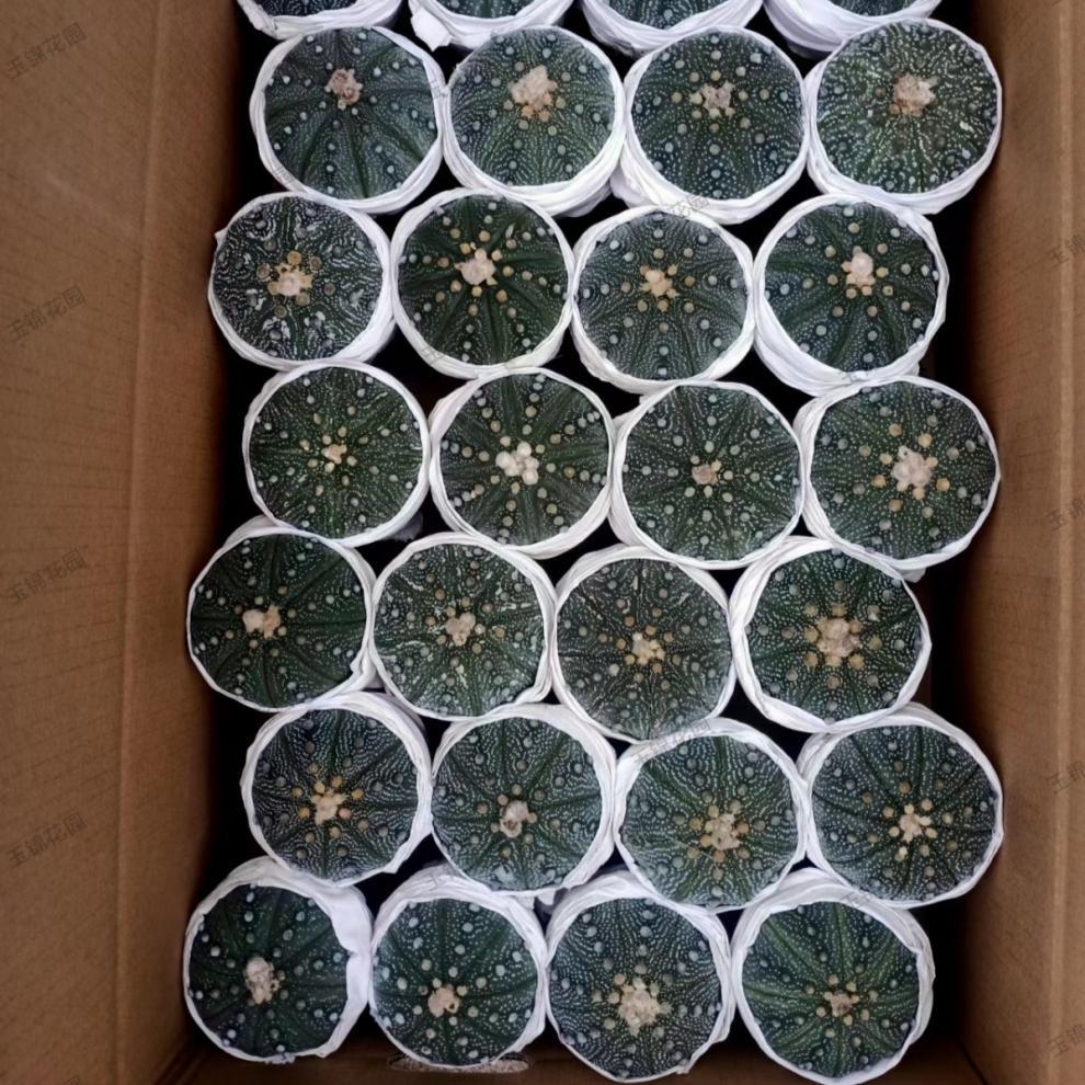 56be19c7-9d0d-485a-ae41-fa500acddfbe.jpe