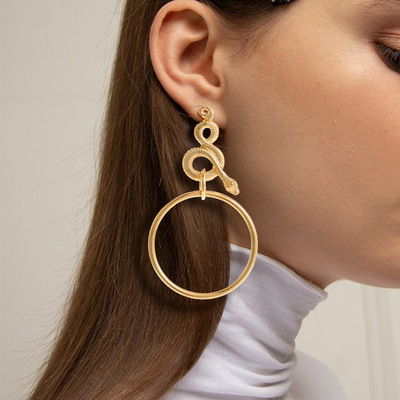 2 pairs Fashion exaggerated ear jewelry retro circle earrings Women's geometric snake-shaped gold earrings personalized earrings