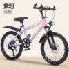 Bike shifter (brake handle), fuchsia bike spokes disc brake, shock-absorbing headlights
