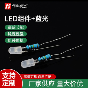 [factory supply] 3mm 5mm LED blue bright LED lamp beads