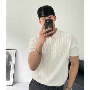 2023 Knitted Polo Shirt Men's Short-sleeved Men's Summer Lapel Light Mature Style Half-sleeved Breathable Casual Youth Top