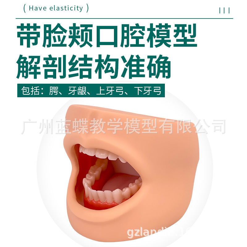 ��Ȼ������������ģ�� �߼���ǻ����ģ��(������)����ͷ