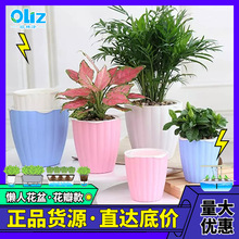 �S�ҬF؛ �羳���R�dTF������ ��������ˮ����С���脓��A������