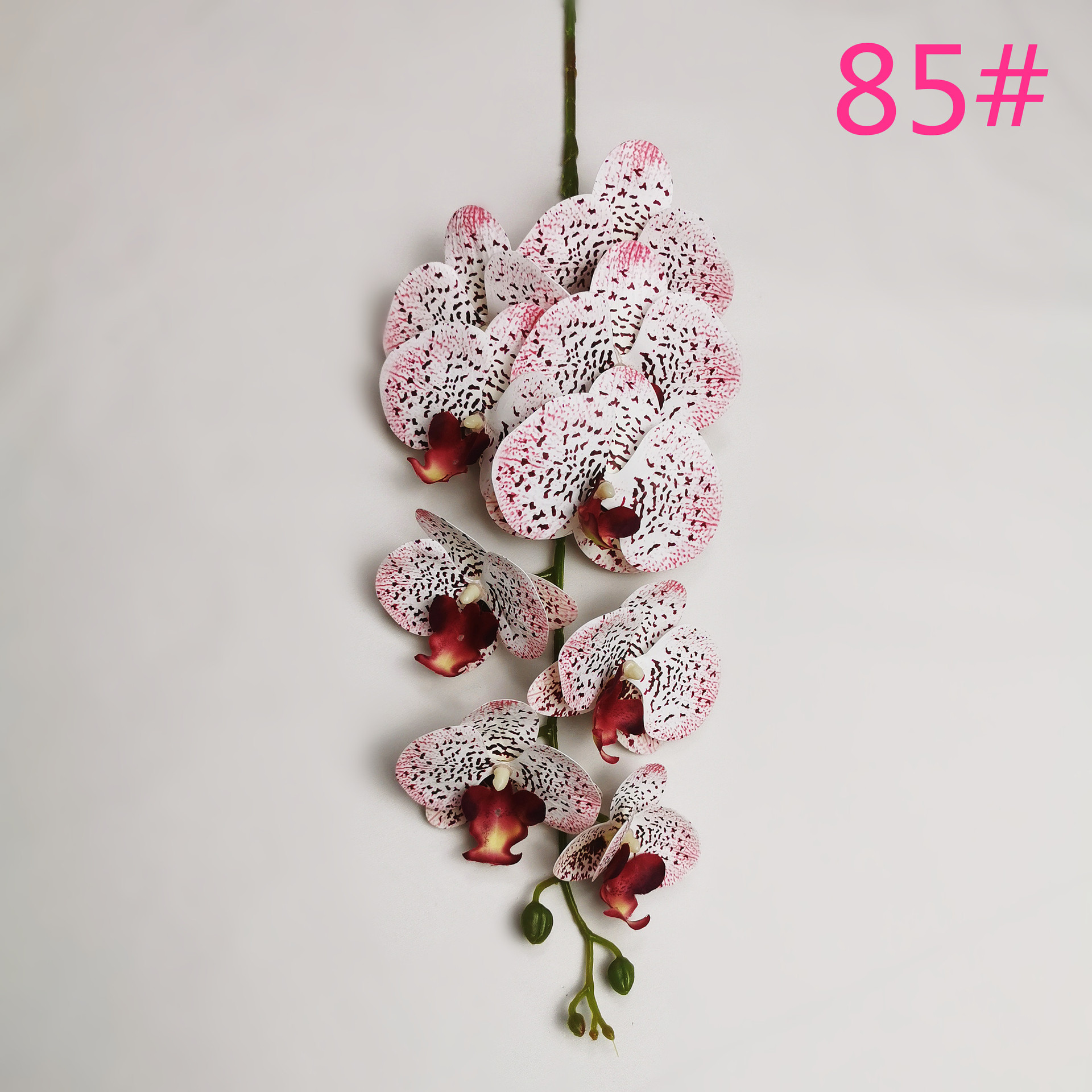 IMG_20220604_183620_副本