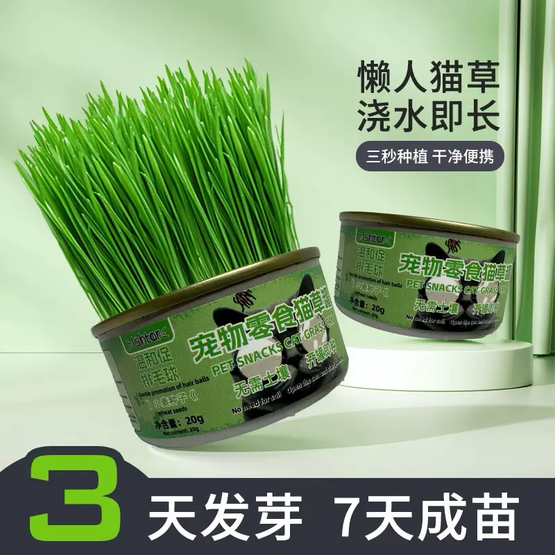 宠物食品猫草小盆栽自种无土水培去毛球天然化毛磨牙洁齿猫咪零食
