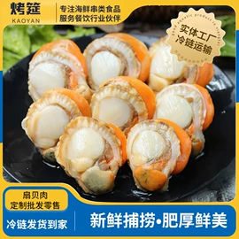 软体类;贝类;鱼类