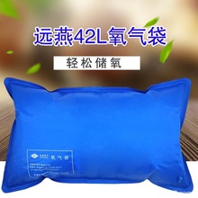 远燕医用备案家用氧气袋42L便携式氧气储气袋孕妇老人用独立包装