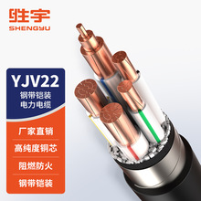 ZC-YJV22 0.6/1kV �~о䓎��z�b�����| YJV22늾���|�� �o�׾�