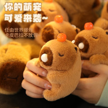 ������Ƥ����������żë�q��߱�������uβ��ˮ����ë�q���޶Y��