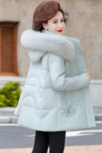 ���ꋌ�����b��q���̿�2026�¿��a������Ů�b���Ӻ�ů����