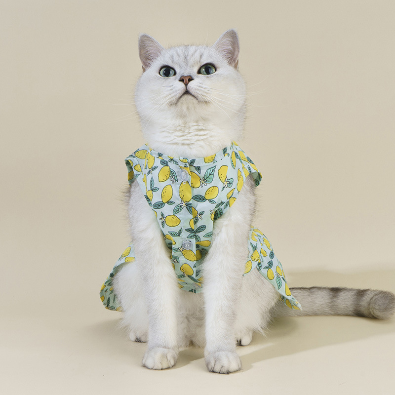 Pastoral Cotton Lemon Bow Knot Pet Clothing display picture 2