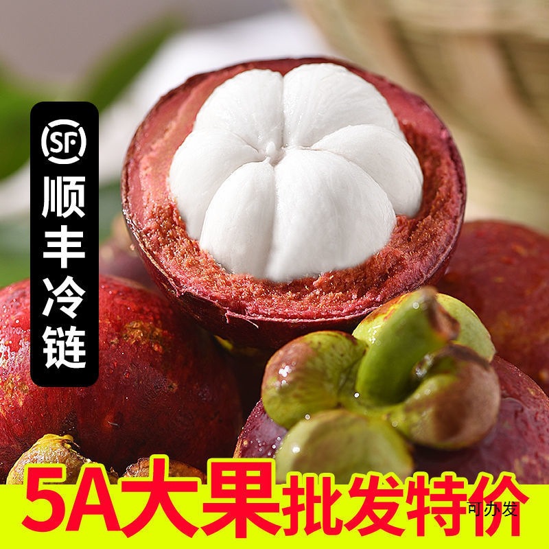 Mangosteen SF Express Cold Chain 1-5 Jin Fresh Fruit Seasonal Fruit Large Fruit Oil Mangosteen麻竹 Wholesale Dropshipping