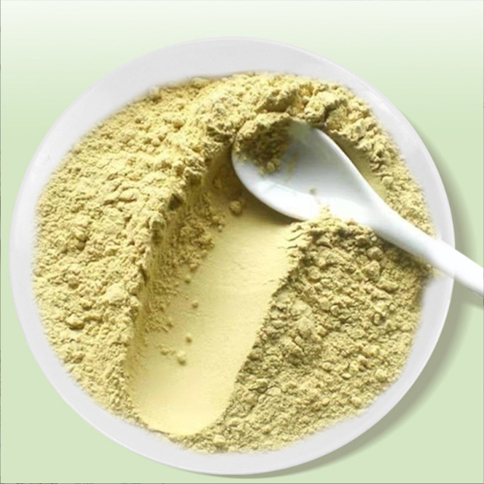 Mulberry Leaf Bitter Melon Powder Sang Ye Ku Gua Fen 130g Bottle Sugar Free Herbal Drink Mix in use