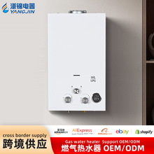 跨境直供燃气热水器 20L烟道式天然气热水器 家用防冻恒温热水器